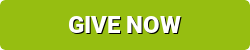 button_give-now_LIME GREEN.png