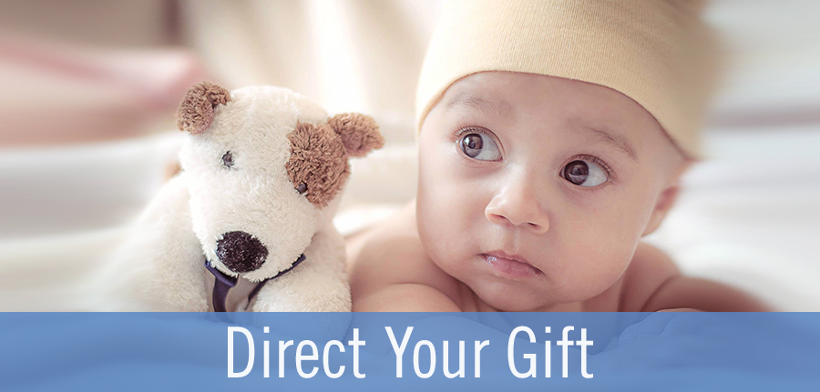 Direct Your Gift Page Icon.png