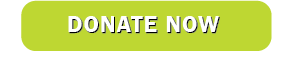 donate now button lime.png